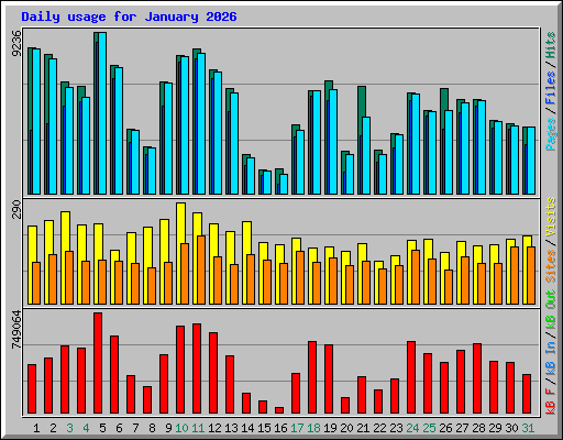 Daily usage for January 2026