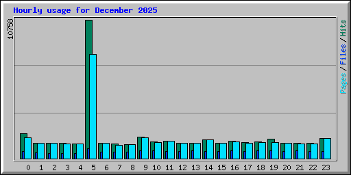 Hourly usage for December 2025