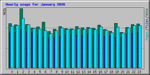 Hourly usage for January 2026